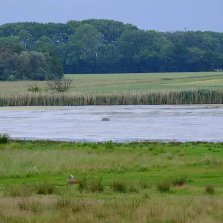 Ferienhaus Luxury Retreat In Marielyst - By Traum