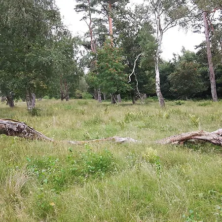 Luxury Retreat In Marielyst *