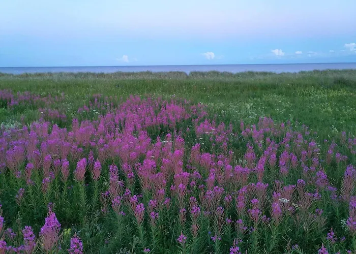 Сasa de vacaciones Luxury Retreat In Marielyst - By Traum