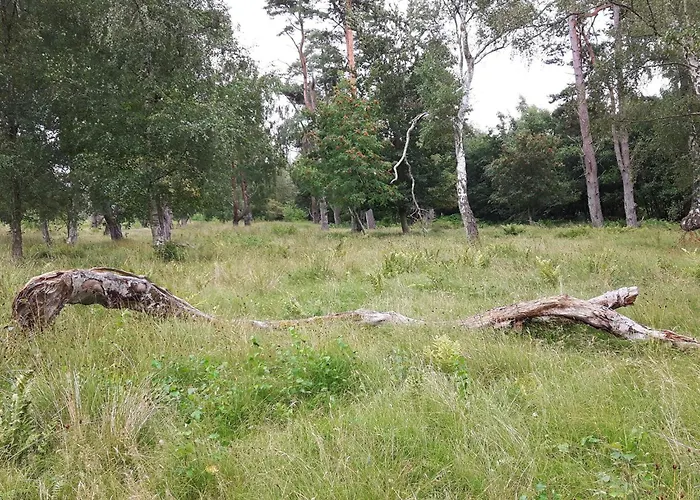 Luxury Retreat In Marielyst - By Traum * Bøtø By