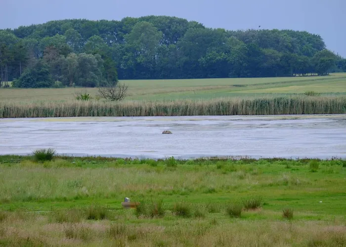 Сasa de vacaciones Luxury Retreat In Marielyst - By Traum